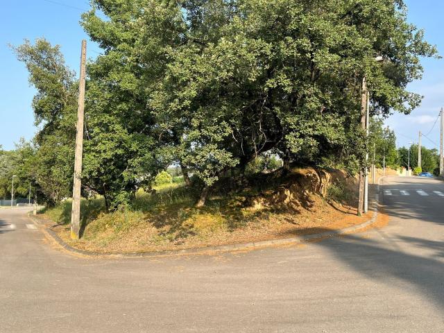 Terreno, Bescanó