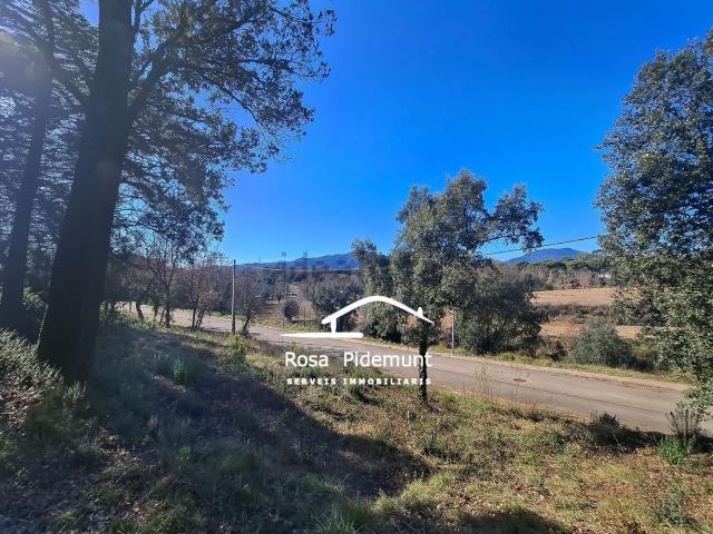 Terreno, Bescanó