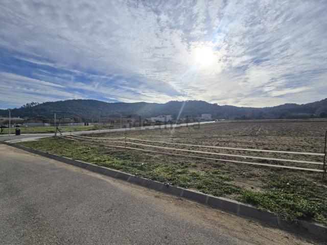 Terreno, Bescanó