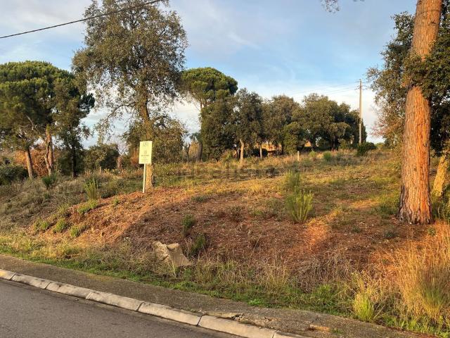 Terreno, Bescanó