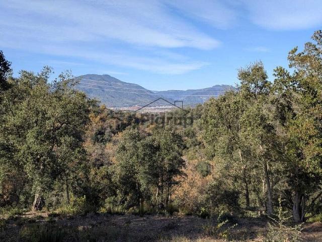 Terreno, Bescanó
