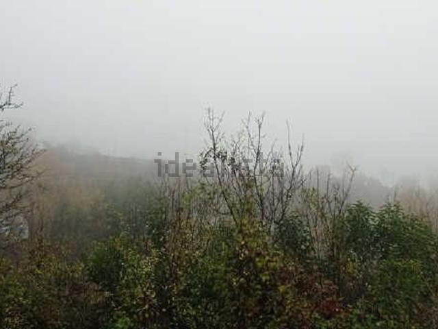 Terreno, Berga