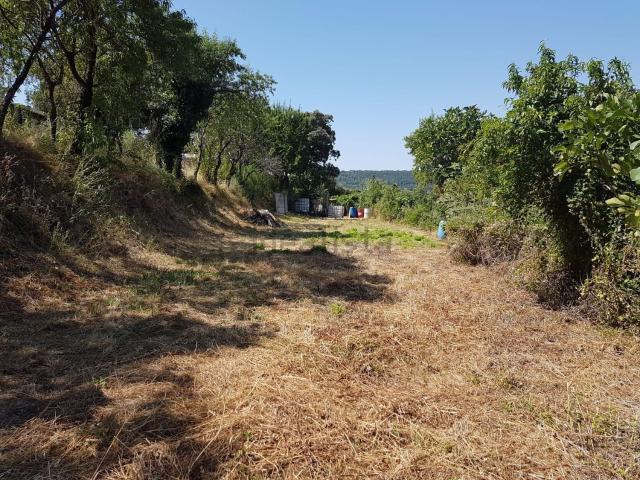 Terreno, Berga