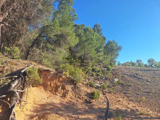 Terreno, Biar