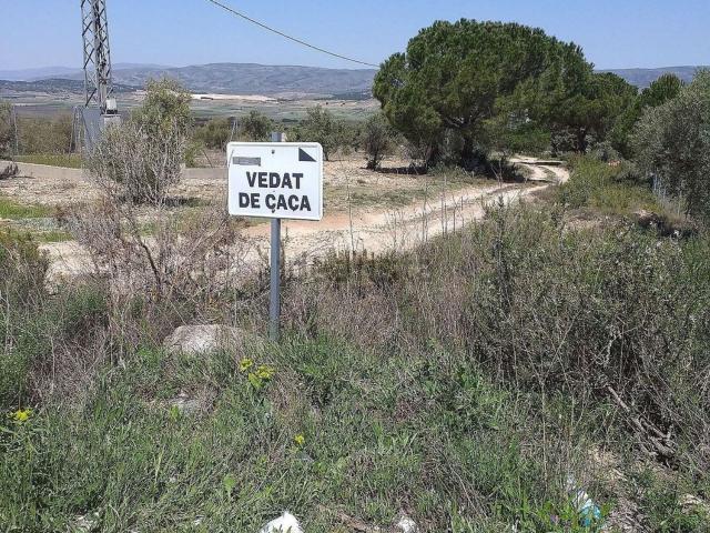 Terreno, Biar