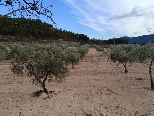 Terreno, Biar