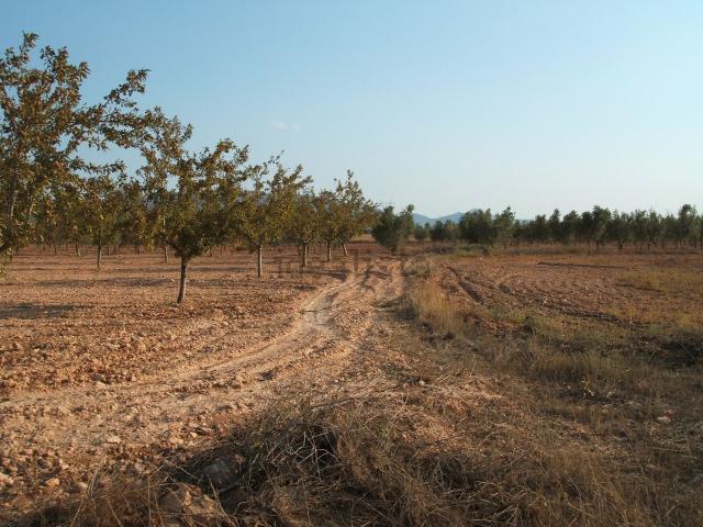 Terreno, Biar