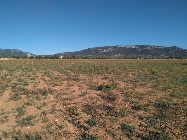 Terreno, Biar