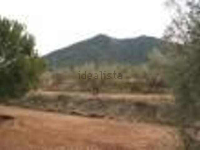 Terreno, Biar