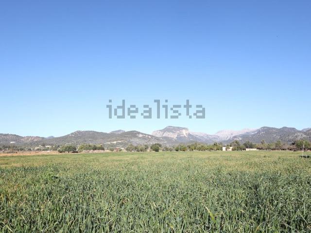 Terreno, Binissalem