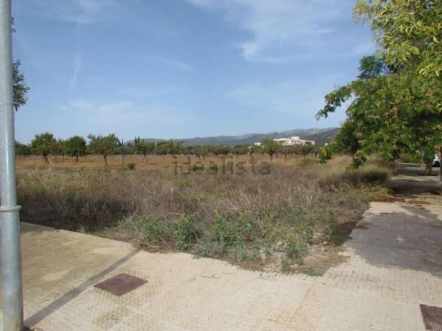 Terreno, Binissalem