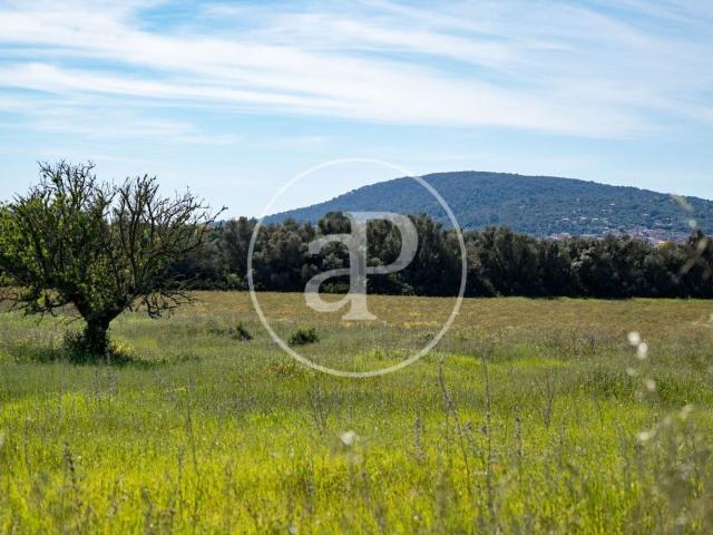 Terreno, Binissalem