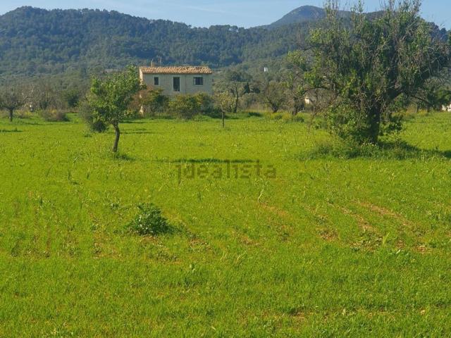 Terreno, Binissalem