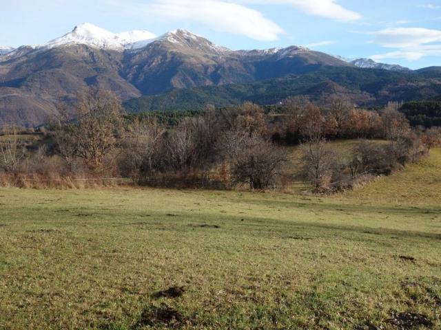 Terreno, Bisaurri