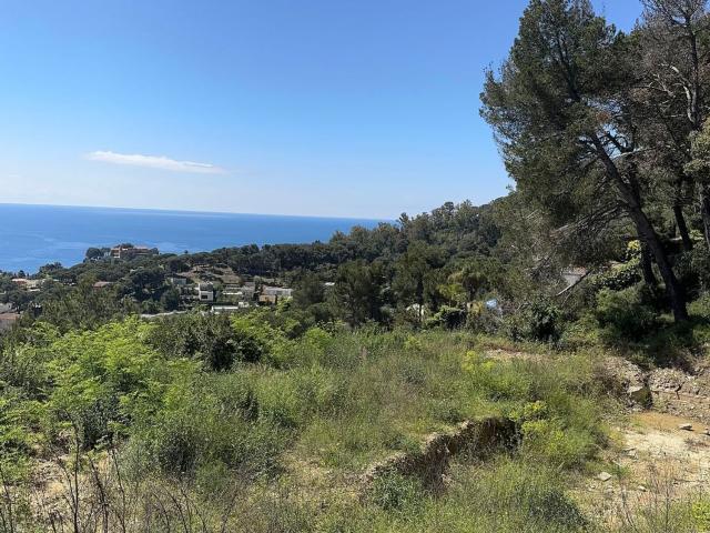 Terreno, Blanes