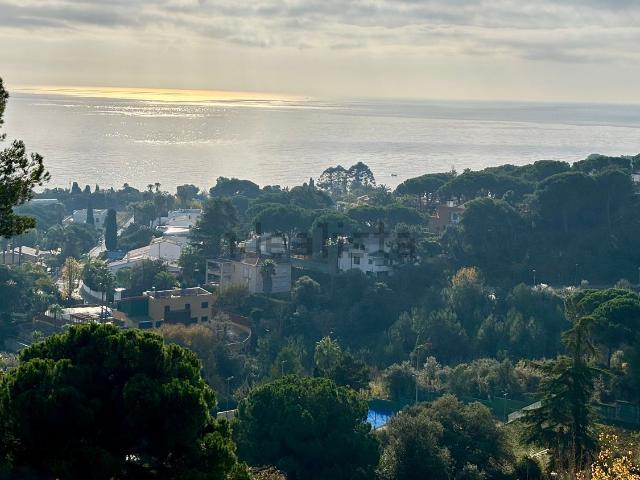 Terreno, Blanes