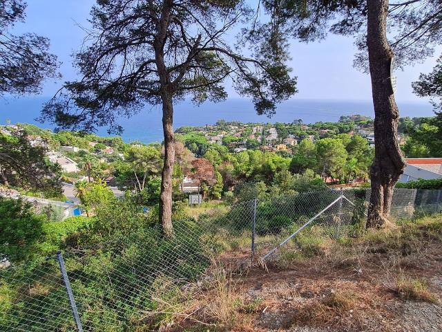 Terreno, Blanes