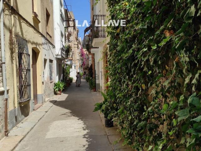 Terreno, Blanes