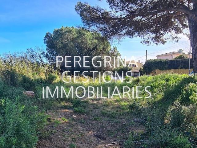 Terreno, Blanes