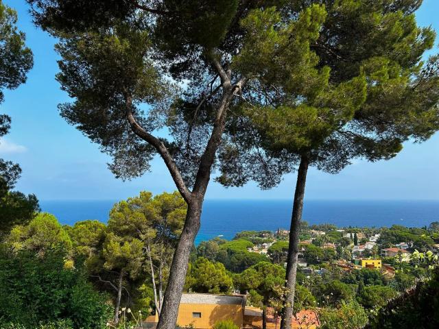 Terreno, Blanes