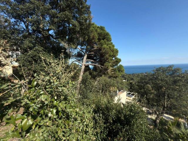 Terreno, Blanes
