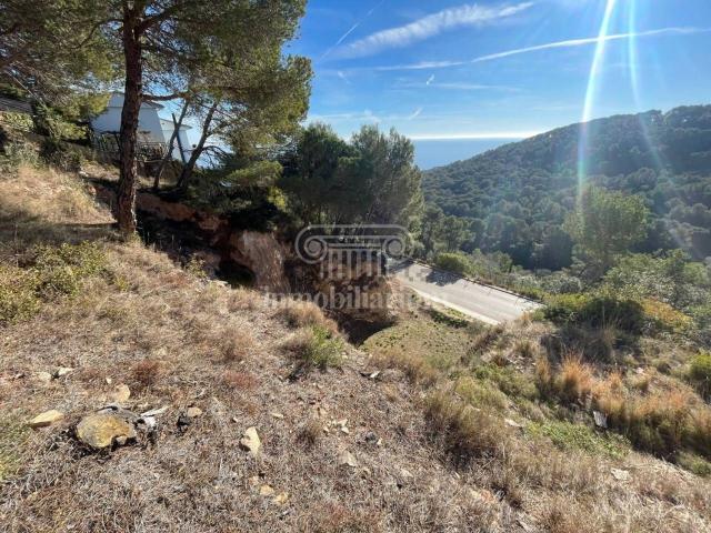 Terreno, Blanes