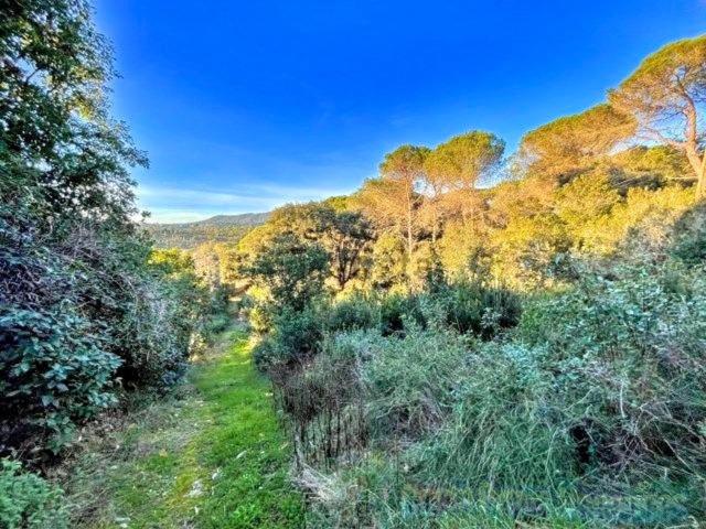 Terreno, Blanes