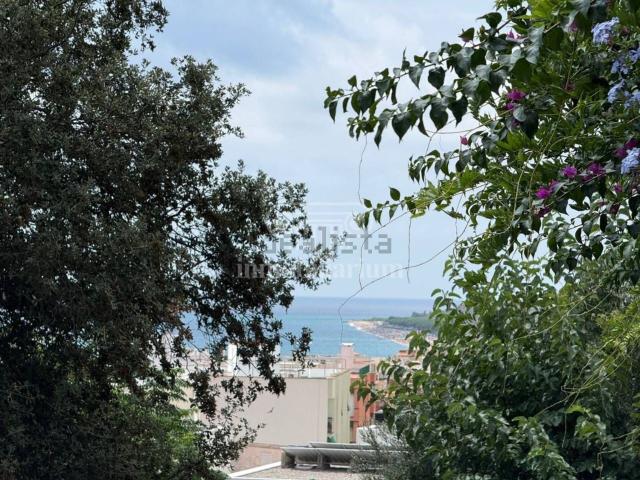 Terreno, Blanes