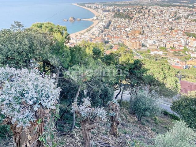 Terreno, Blanes