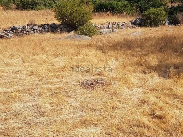 Terreno, Boliqueime