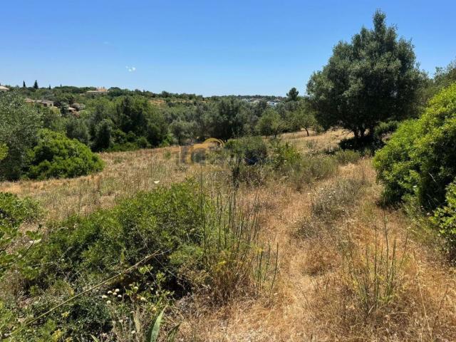 Terreno, Boliqueime