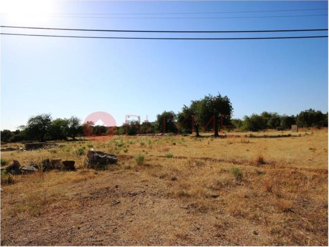 Terreno, Boliqueime