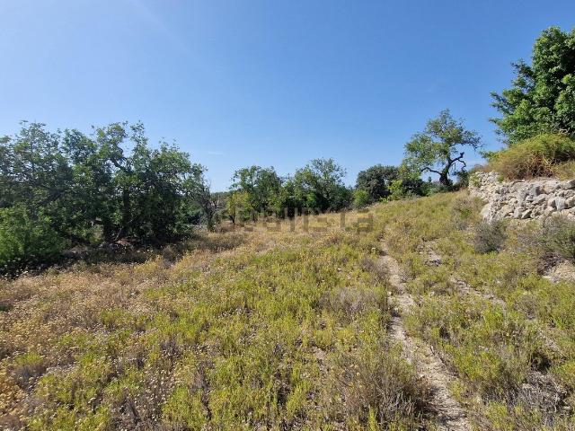 Terreno, Boliqueime