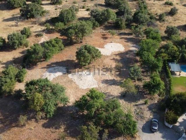 Terreno, Boliqueime