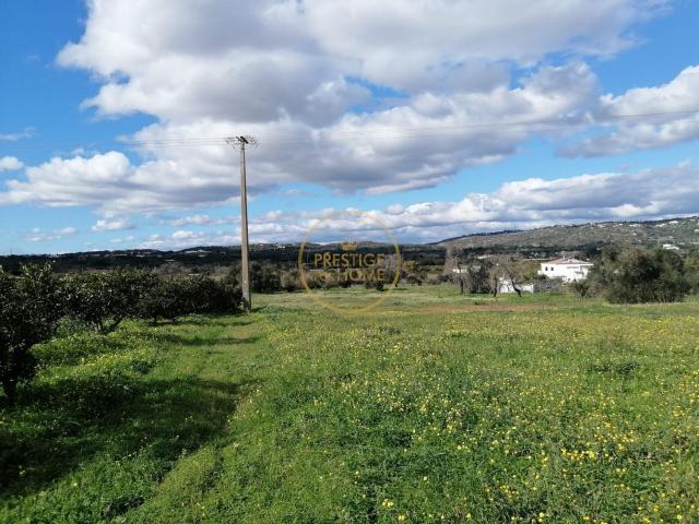 Terreno, Boliqueime