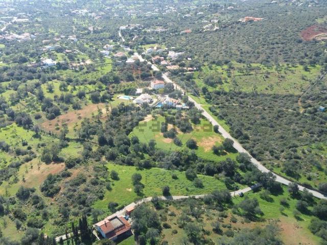 Terreno, Boliqueime