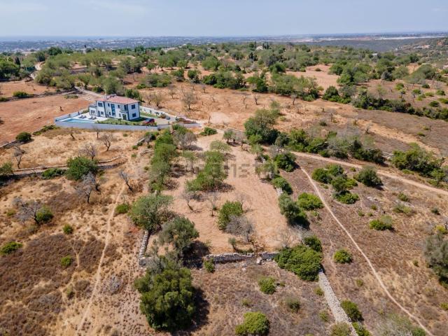 Terreno, Boliqueime