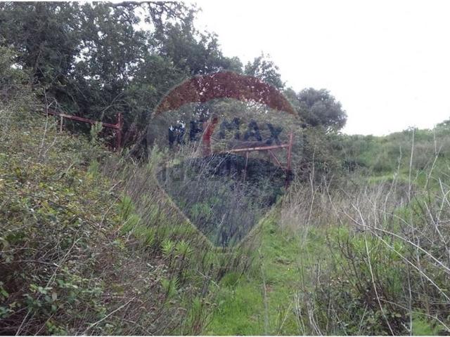 Terreno, Boliqueime