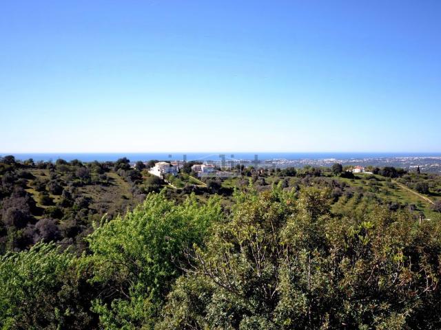 Terreno, Boliqueime
