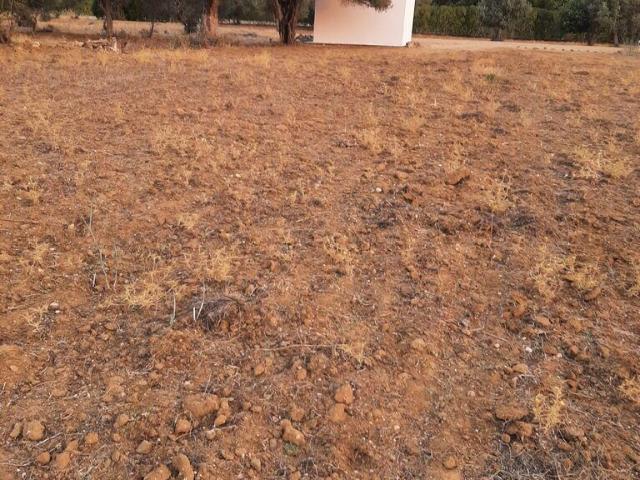 Terreno, Boliqueime, Loulé | BPI Expresso Imobiliário