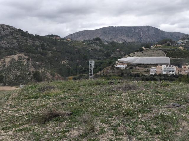 Terreno, Bolulla