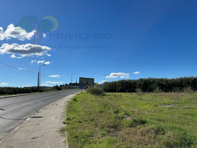 Terreno, Bombarral e Vale Covo, Bombarral | BPI Expresso Imobiliário