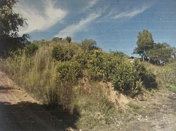 Terreno Boscoso en Venta en Talpa de Allende Jalisco