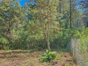 TERRENO BOSCOSO EN VENTA ZONA RESIDENCIAL EN AVÁNDARO
