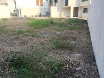 Terreno en Venta Privada El Cedro Bosques de Saloya Vhsa