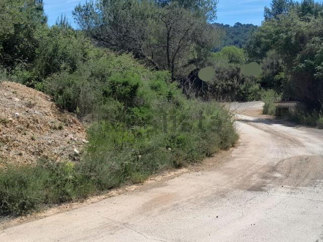 Terreno, Borriol