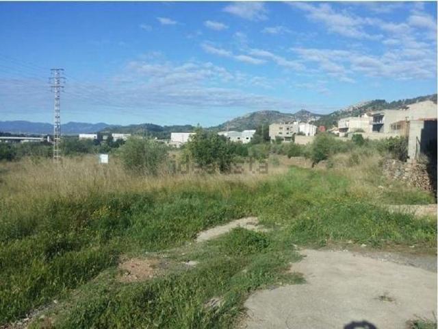 Terreno, Borriol