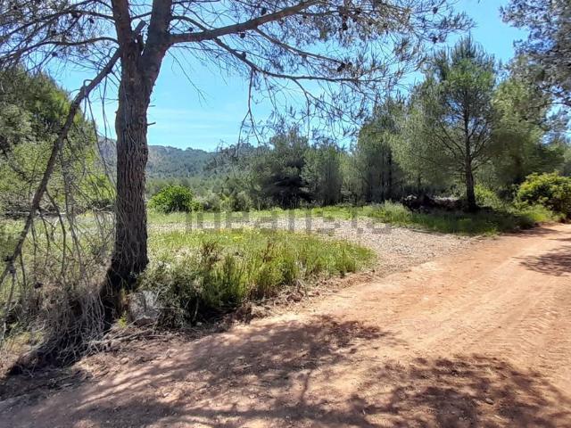 Terreno, Borriol