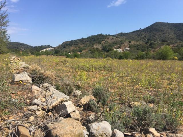 Terreno, Borriol