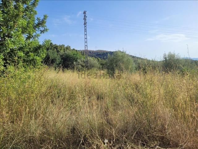 Terreno, Borriol